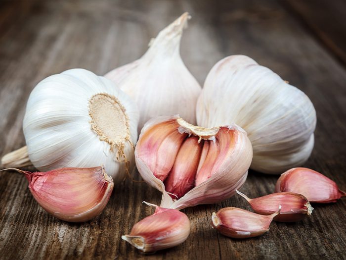 Garlic Fresh