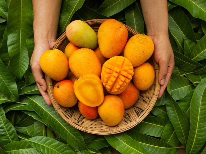 Mango Fresh